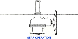 Globe Valve Flanged End