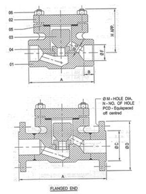 Forged Steel Check Valve