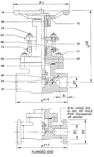 Forged Steel Globe Valve