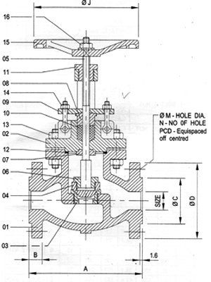 Globe Valve Flanged End
