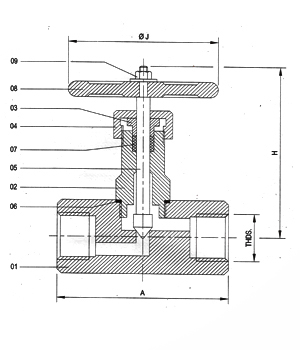 Needle Valve