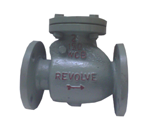 Swing Check Valve